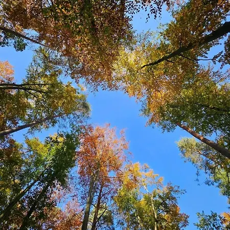 Tolles In Der Seenplatte